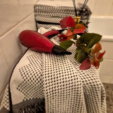 Apartment Viggsson